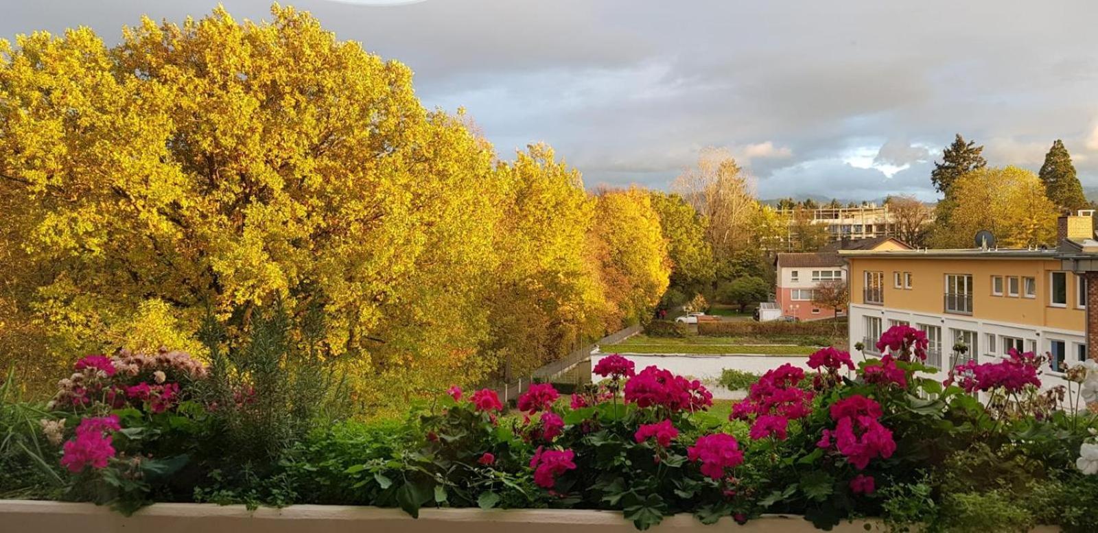 Mariaprimavera Apartment Am Kurpark Mit Schwarzwaldblick * * * * Бад Кроцинген Екстериор снимка